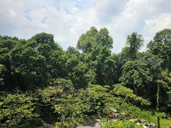 Blk 43 Telok Blangah Rise (Bukit Merah), HDB 3 Rooms #553899971